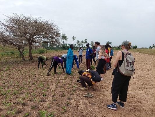 photo possible, crédit : ؗ© Cirad, M-L. Pouxviel